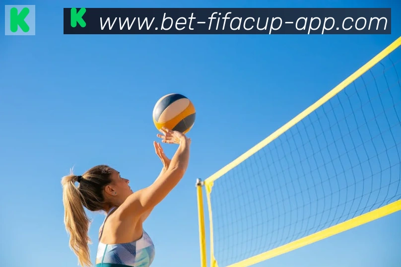 金牌平台